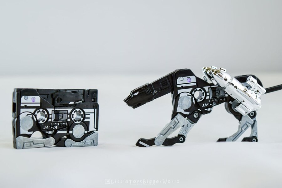 Hasbro Fans Expo 2012 Covert Agent Ravage Decepticons Forever 2 Pack  (10 of 11)
